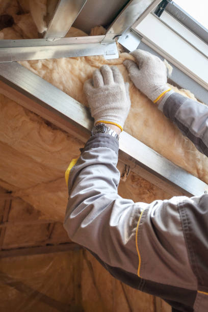 Best Home Insulation Services  in Evanston, IL