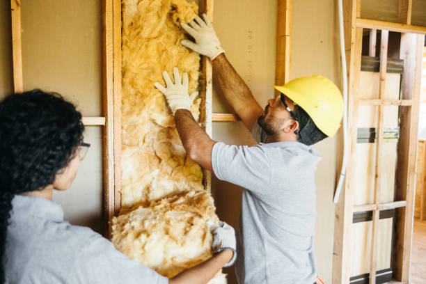 Best Professional Insulation Contractor  in Evanston, IL