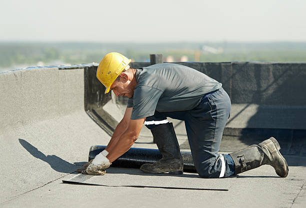 Best Crawl Space Insulation  in Evanston, IL