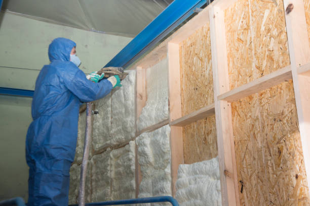 Best Cellulose Insulation  in Evanston, IL